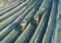 Komisaris Petrosea (PTRO) Erwin Ciputra Tambah 400.000 Saham, Ini Tujuannya