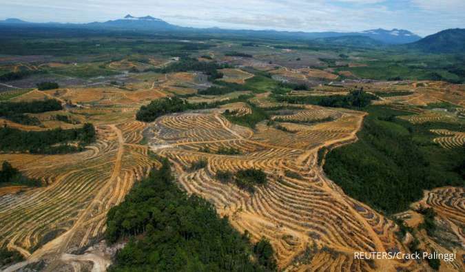 Ada Tarif Denda Baru untuk Pelanggaran Tambang di Kawasan Hutan, Ini Besarannya