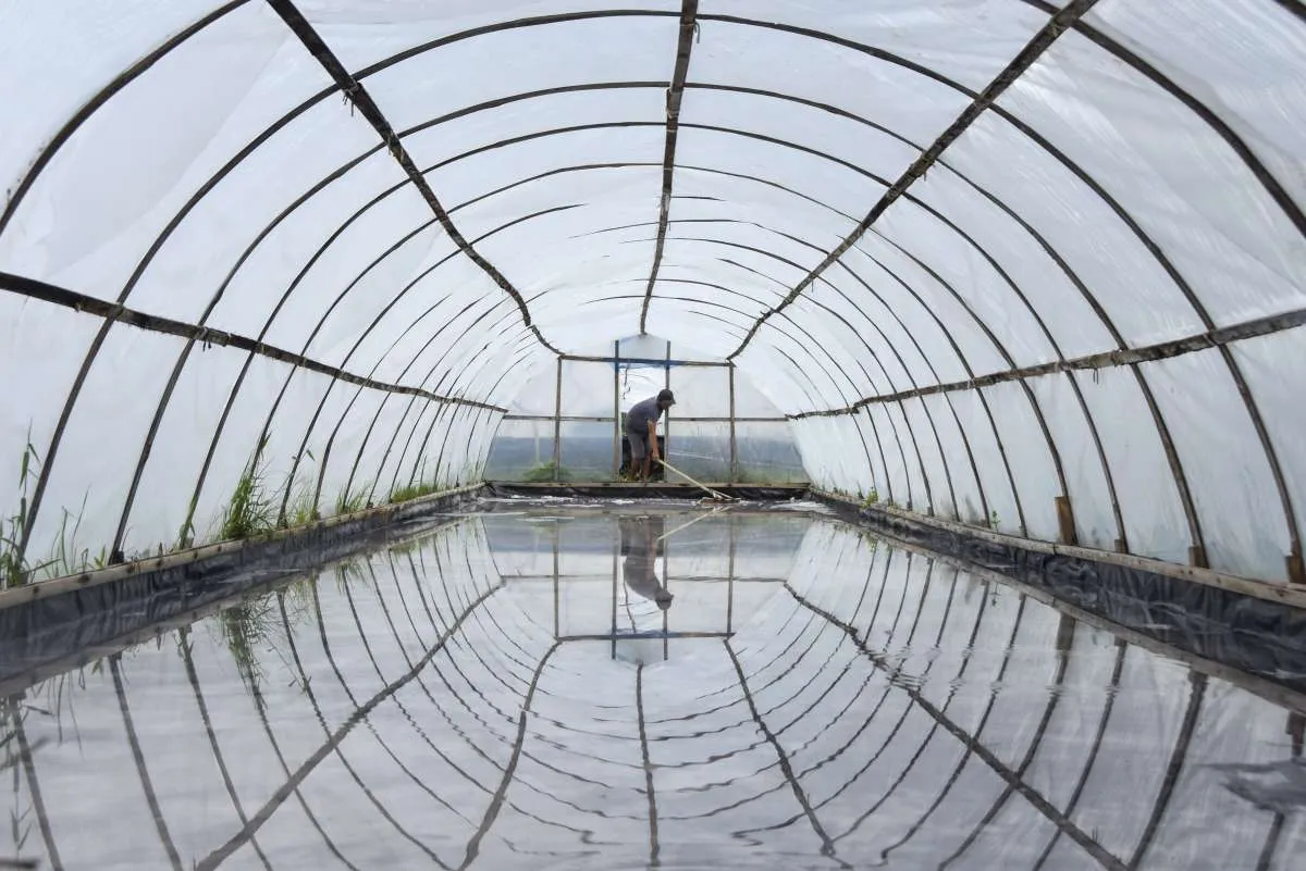 Krisis Garam Industri Mengancam Kelangsungan Industri Aneka Pangan