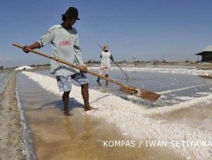 Cheetham akan bangun pabrik garam seluas 1.050 hektare di NTT