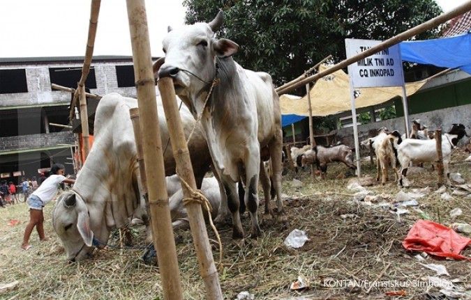 Cegah penyebaran antraks, DPP Kabupaten Gunungkidul melokalisir ternak masyarkat