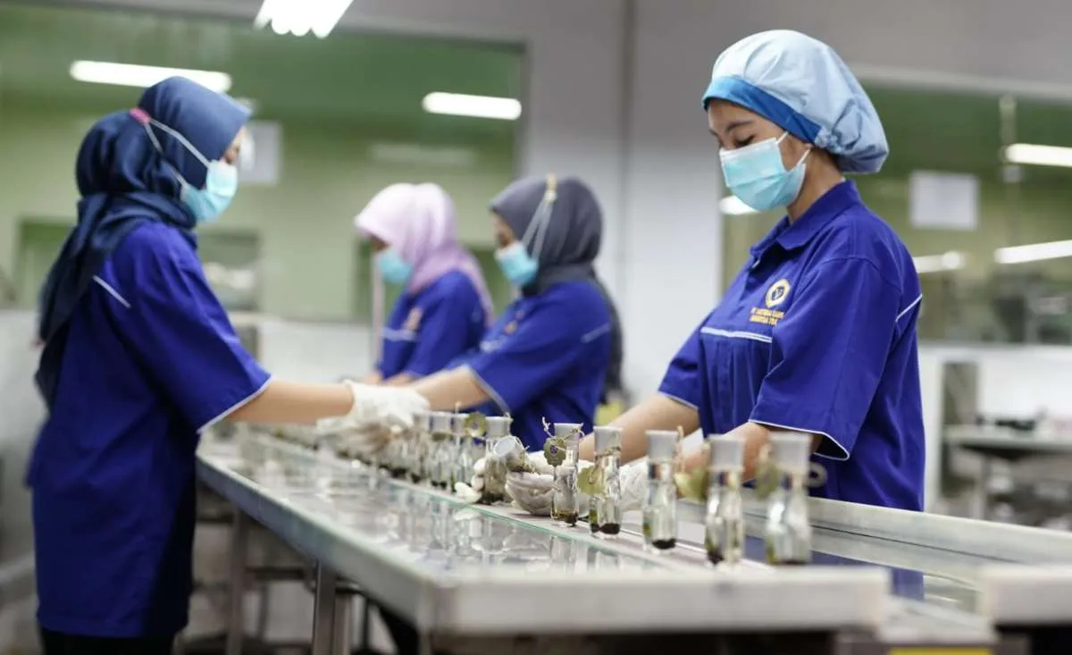 Victoria Care Indonesia (VICI) Catat Pendapatan Tumbuh 46,7% pada Semester I 2023