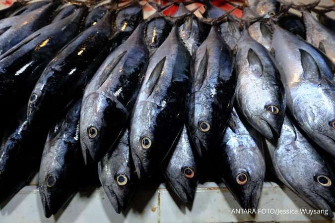 Terdampak Cuaca Ekstrem di Awal Tahun 2026, Penghasilan Nelayan Turun Hampir 50%