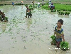 Produksi pertanian loyo tapi investasinya kekar