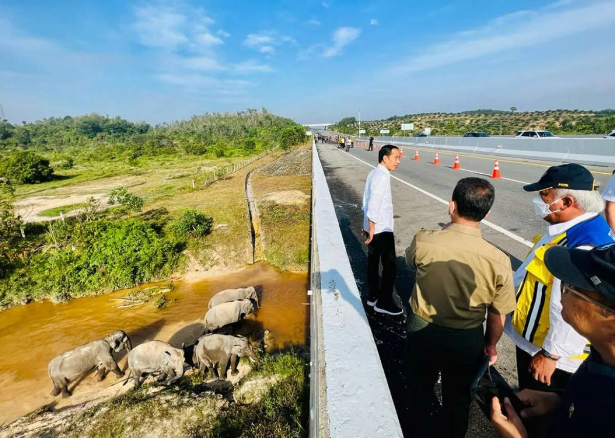 Presiden Jokowi Minta Kepala Daerah Sambungkan Jalan Tol ke Berbagai Kawasan