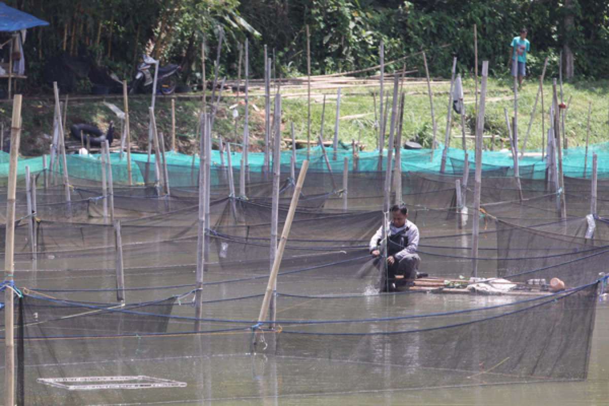 Peningkatan produksi perikanan budidaya