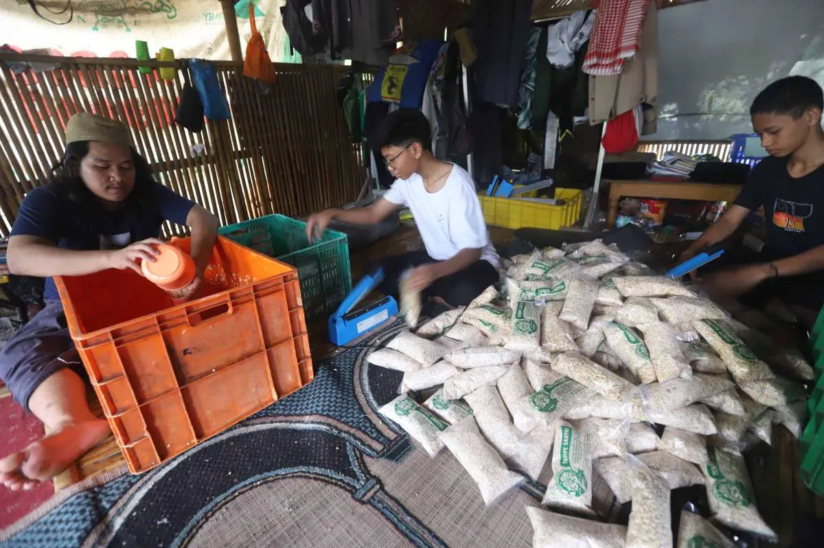 Cara Mengikuti Program Jasa Manajemen dan Kemitraan PNM 