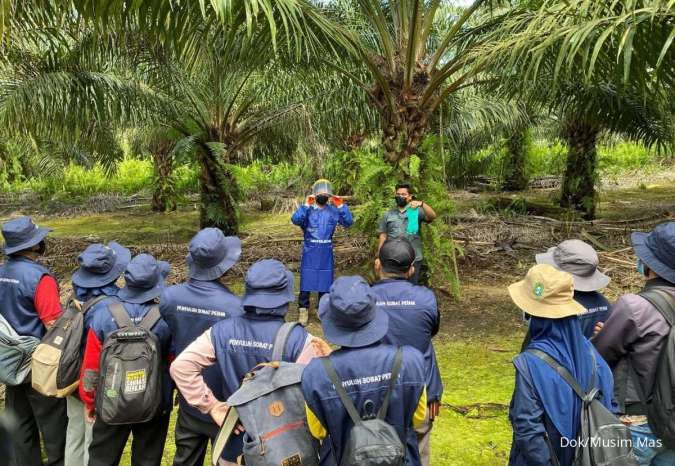 Musim Mas & Bunge Jalankan Program Smallholders Hub Pertama di Kalimantan 