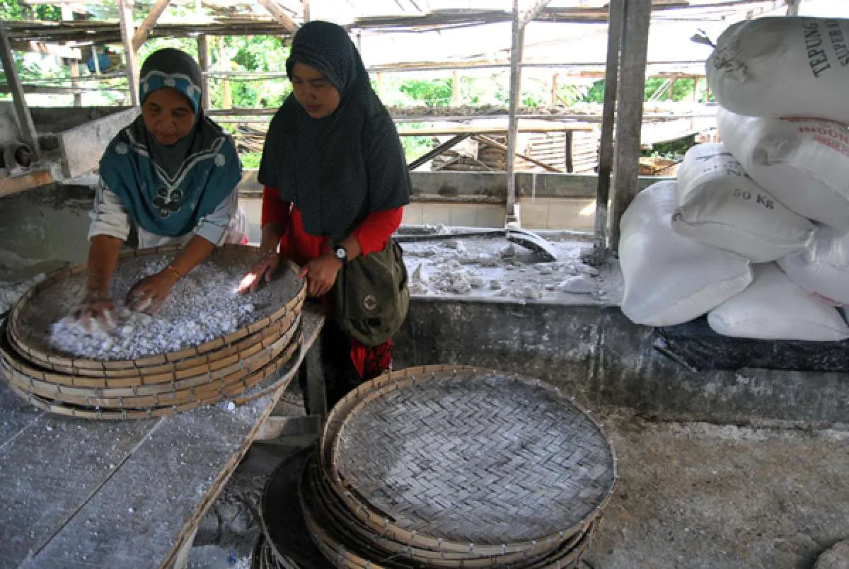 Setelah KUR dan UMi, Kemkop UKM godok skema pembiayaan baru