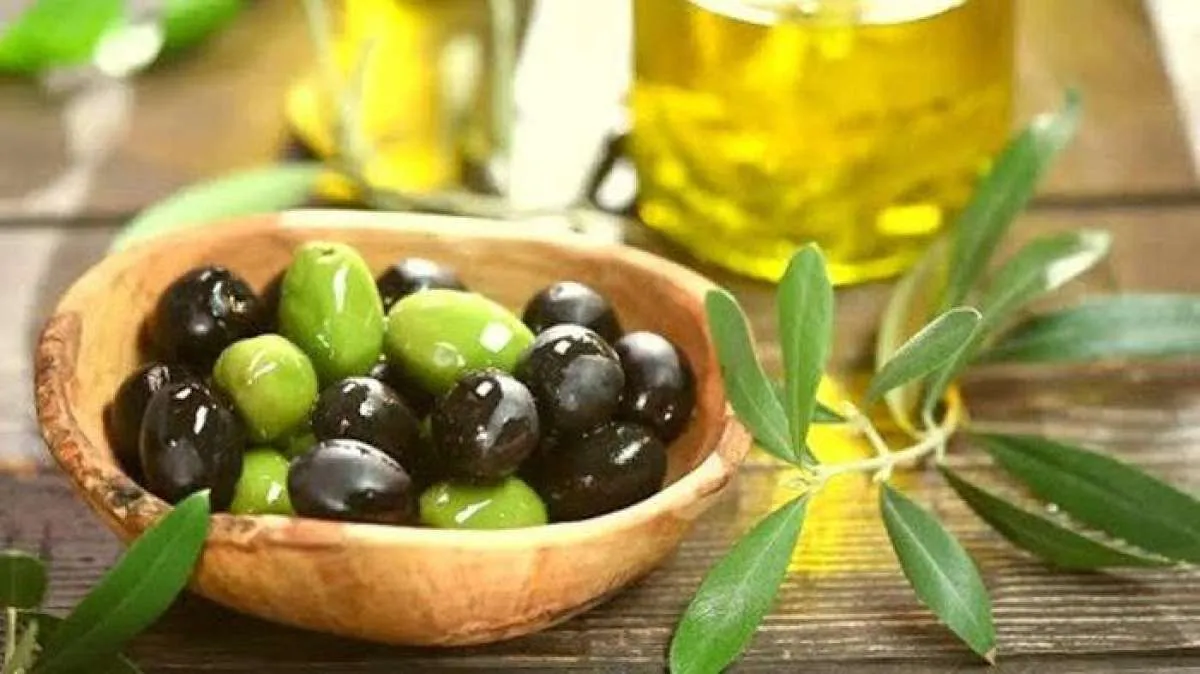 Kenali 8 Manfaat Buah Zaitun Bagi Kesehatan yang Tidak Terduga