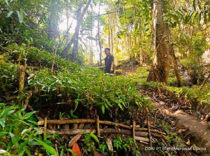 Rehabilitasi DAS Jadi Kunci Atasi 12,7 Juta Hektare Lahan Kritis Indonesia