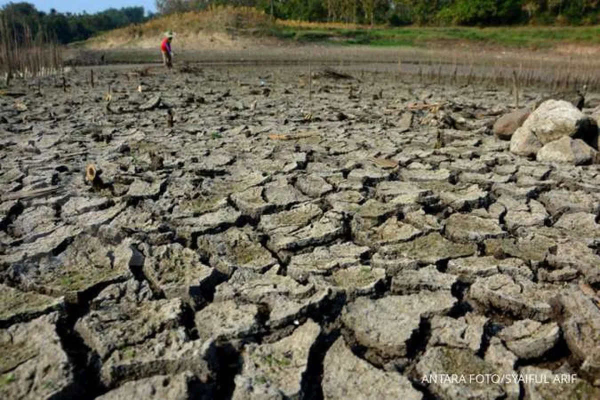 BNPB: Lebih dari 1.900 desa di tujuh provinsi terdampak kekeringan