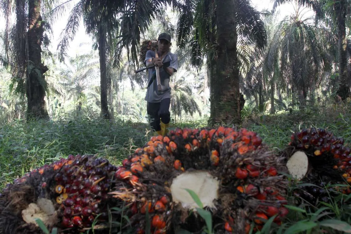 Pertumbuhan Ekonomi RI 2022 Berpotensi Capai 5% di Tengah Kenaikan Harga Komoditas