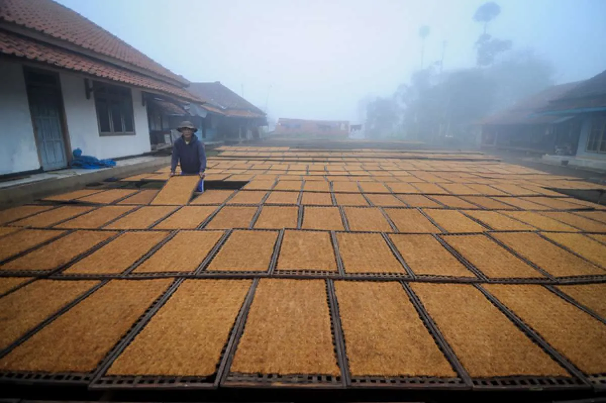 Penyederhanaan cukai bisa merusak struktur industri hasil tembakau