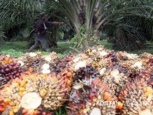 CPO fluktuatif karena spekulasi China pangkas tarif impor