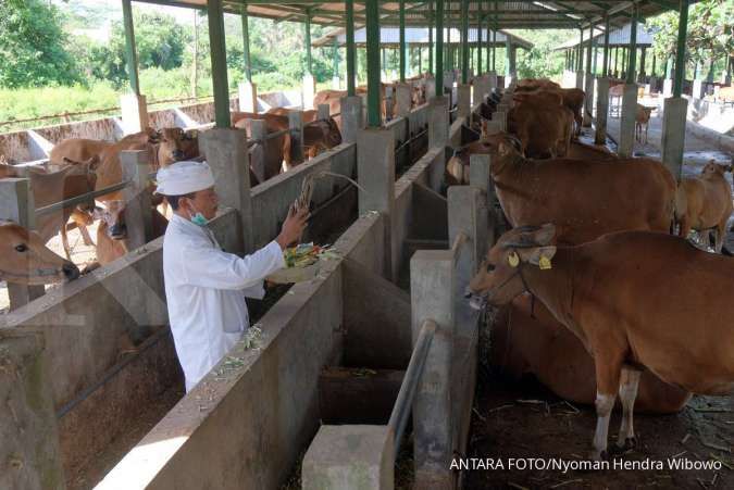 Tahan konsumsi, konsumen pilih beli hewan ternak untuk investasi