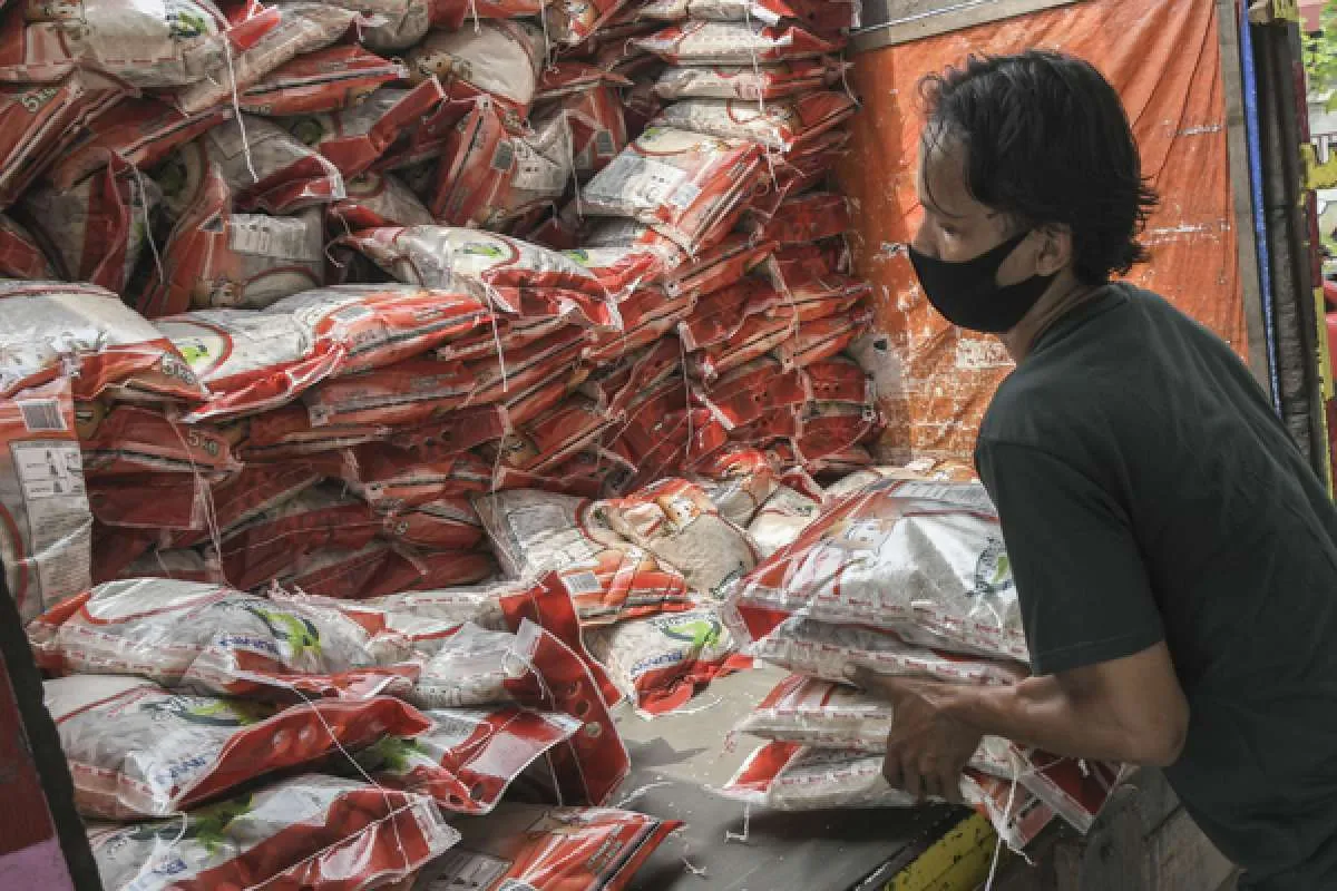 Jokowi pastikan stok beras aman untuk bantuan ke masyarakat