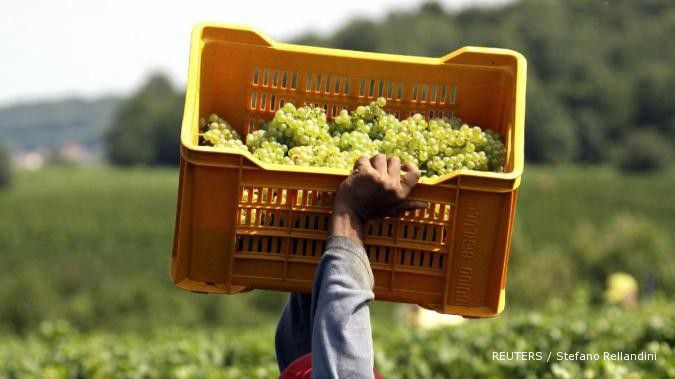 GGP targetkan produksi buah 2012 naik 3,84%