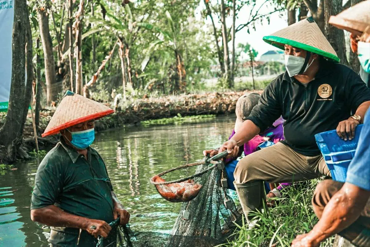 Begini upaya Dompet Dhuafa mendorong ketahanan pangan keluarga di masa pandemi