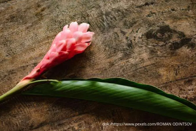Kecombrang sampai Jantung Pisang, Ini 7 Bunga yang Bisa Dimasak dan Manfaatnya