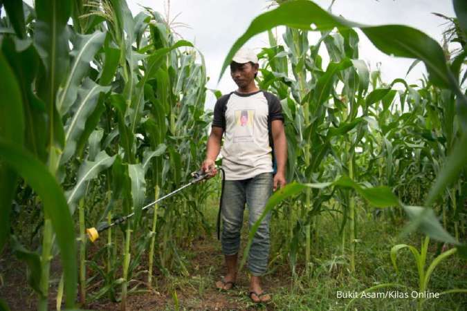 Kontan - Bukit Asam Kilas Online
