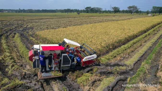 BPS: Potensi Panen Padi Mei–Juli 2025 Capai 2,64 Juta Hektare