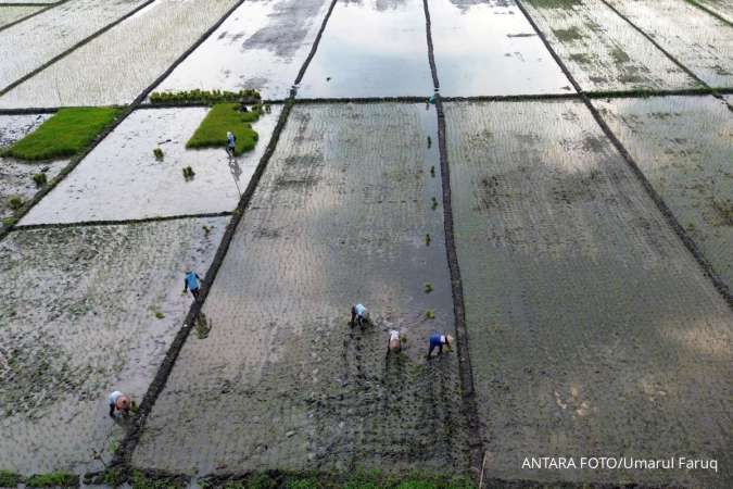 BPS: Nilai Tukar Petani Turun 2,15% pada April 2025