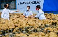 Jokowi tinjau pabrik porang, tumbuhan liar yang buat petani jadi miliarder