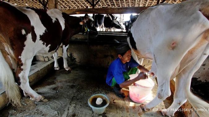 Harga jual rendah produksi susu sapi stagnan