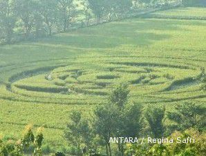 Roy Suryo: Foto jejak unik mirip UFO itu asli