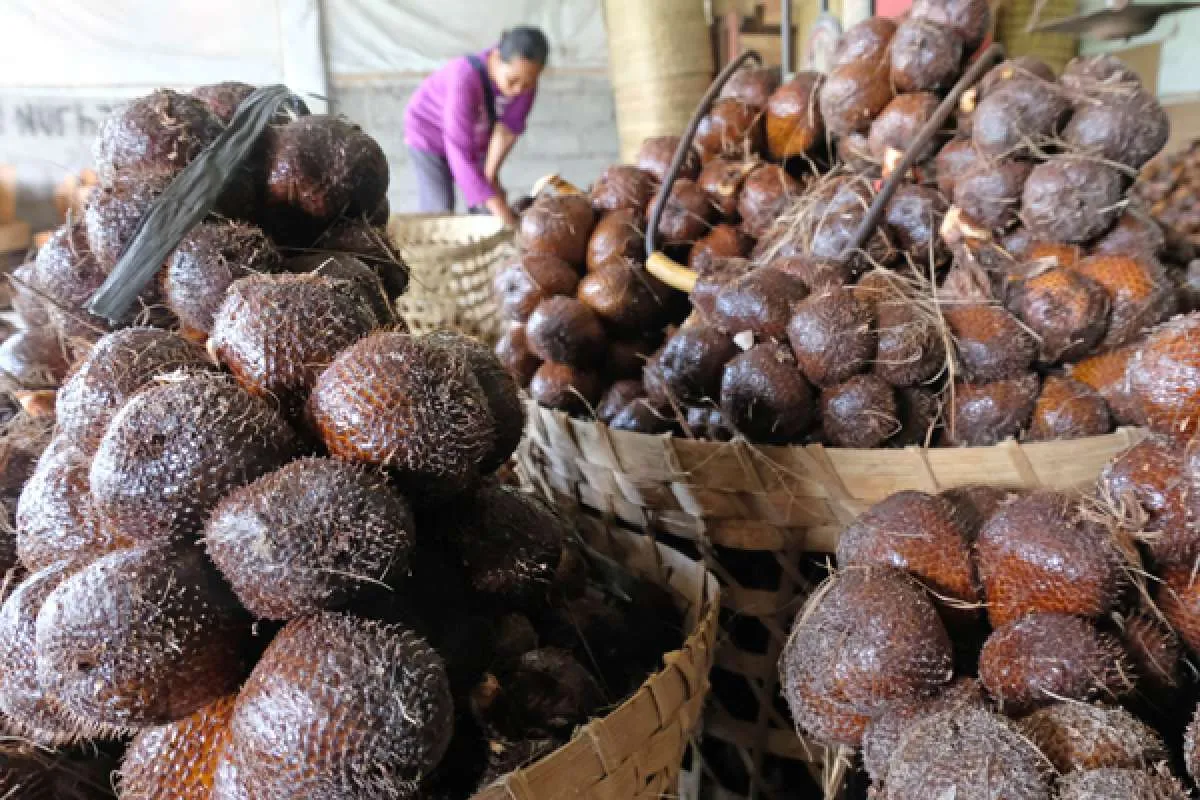 Khasiat buah salak untuk kesehatan, obat mata, pencernaan dll