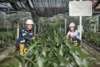 Grup MIND ID Reklamasi Ratusan Hektar Lahan Bekas Tambang