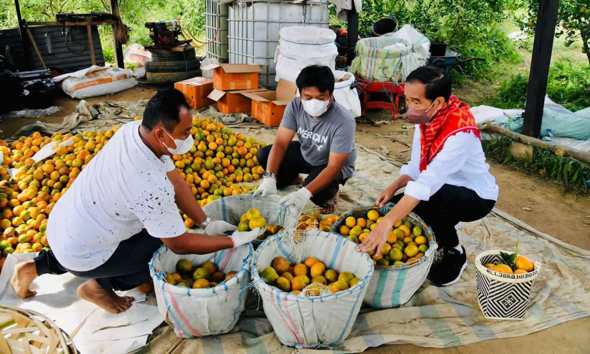 Jokowi Tegaskan Pentingnya Infrastruktur Jalan untuk Tunjang Kegiatan Produksi
