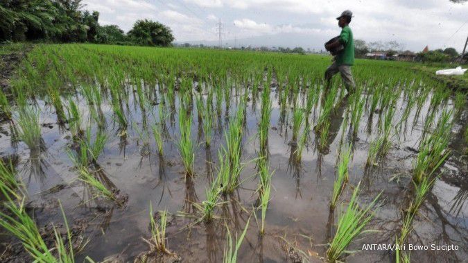 Subsidi pupuk tahun depan capai Rp 35 triliun