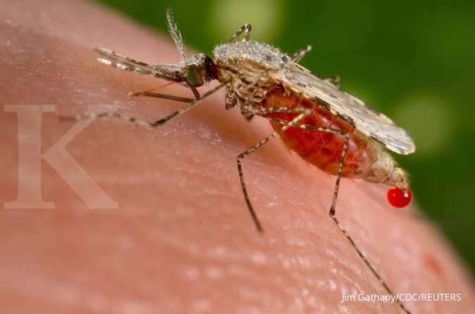 Gangguan medis selama pandemi Covid-19 meningkatkan angka kematian akibat malaria