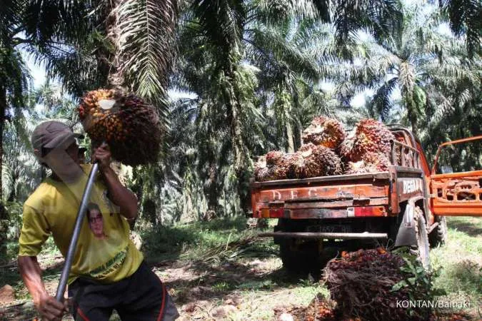 Indonesia Hikes Palm oil Export Levy to Maximum $375 Per Tonne