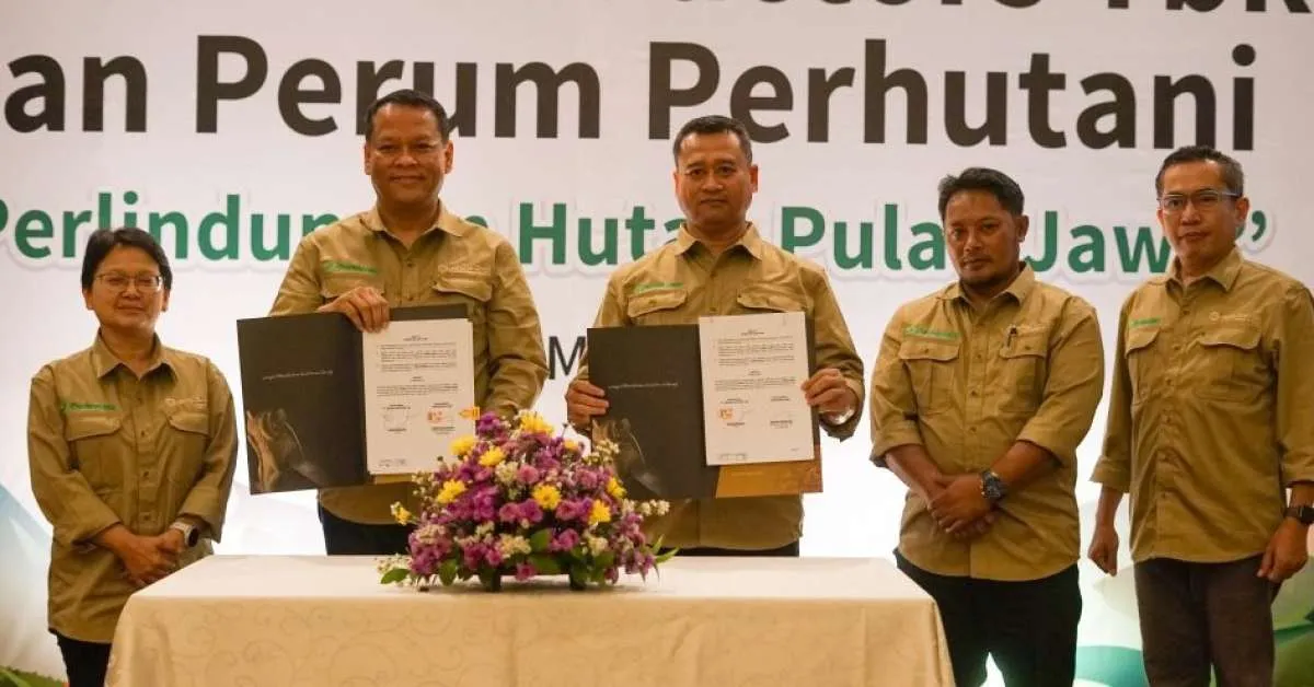 United Tractors dan Perhutani Targetkan Perbaikan 10.000 Hektar Hutan