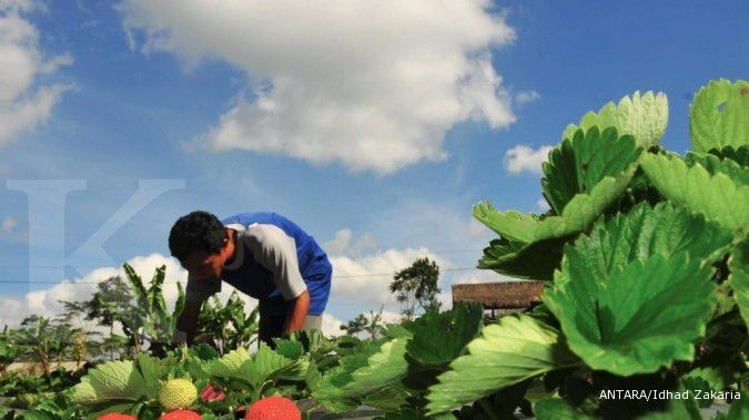 Cuaca Jateng Hari Senin (19/6) Potensi Hujan di Barlingmascakeb, Magelang & Purworejo