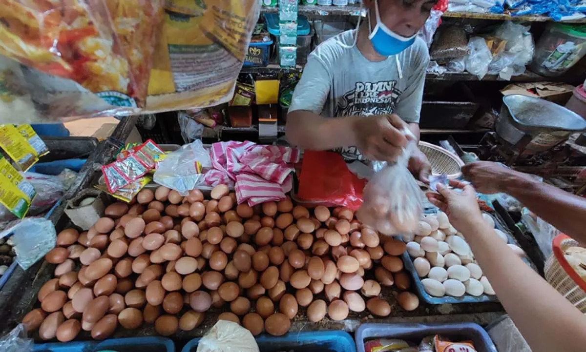 Badan Pangan akan Tindaklanjuti Kenaikan Harga Telur
