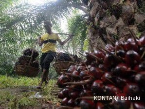 Harga CPO mengikuti pergerakan dollar AS