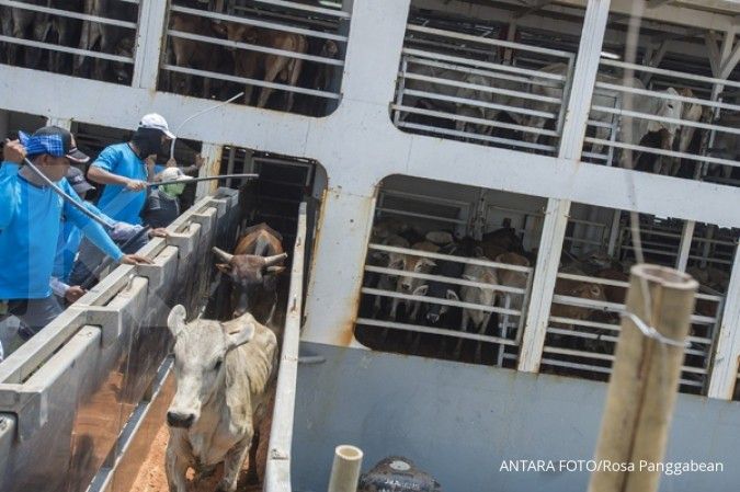 Lima provinsi sepakat pasok sapi ke DKI