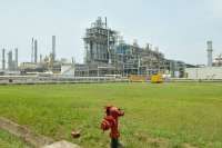 Harga Minyak Mentah Lesu, Emiten Petrokimia Bisa Melaju