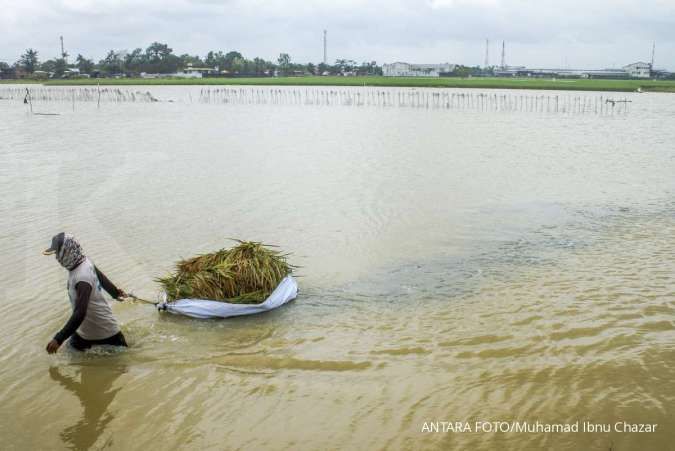 Banjir di Karawang meluas, merendam 24 desa