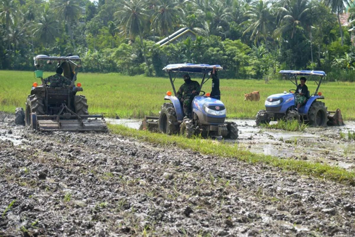 Kementan Terapkan Demplot CSA Terhadap 9.381 Ha Lahan Percontohan di 10 Provinsi