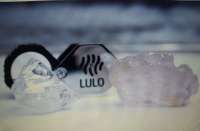 Berlian Merah Muda Ini Jadi Batu Permata Terbesar yang Ditemukan dalam 300 Tahun