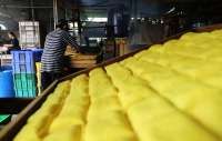 Kedelai Impor Murah, Harga Tahu-Tempe RI Tetap Mahal: Cek Biang Keroknya