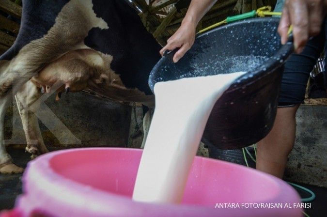 Tingkatkan produksi susu, pemerintah beri insentif peternak sapi perah