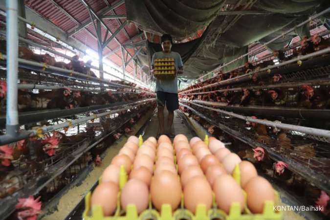 Badan Pangan: Harga Telur Bisa Turun, Maksimal Jadi Rp 27.000 Per Kilogram