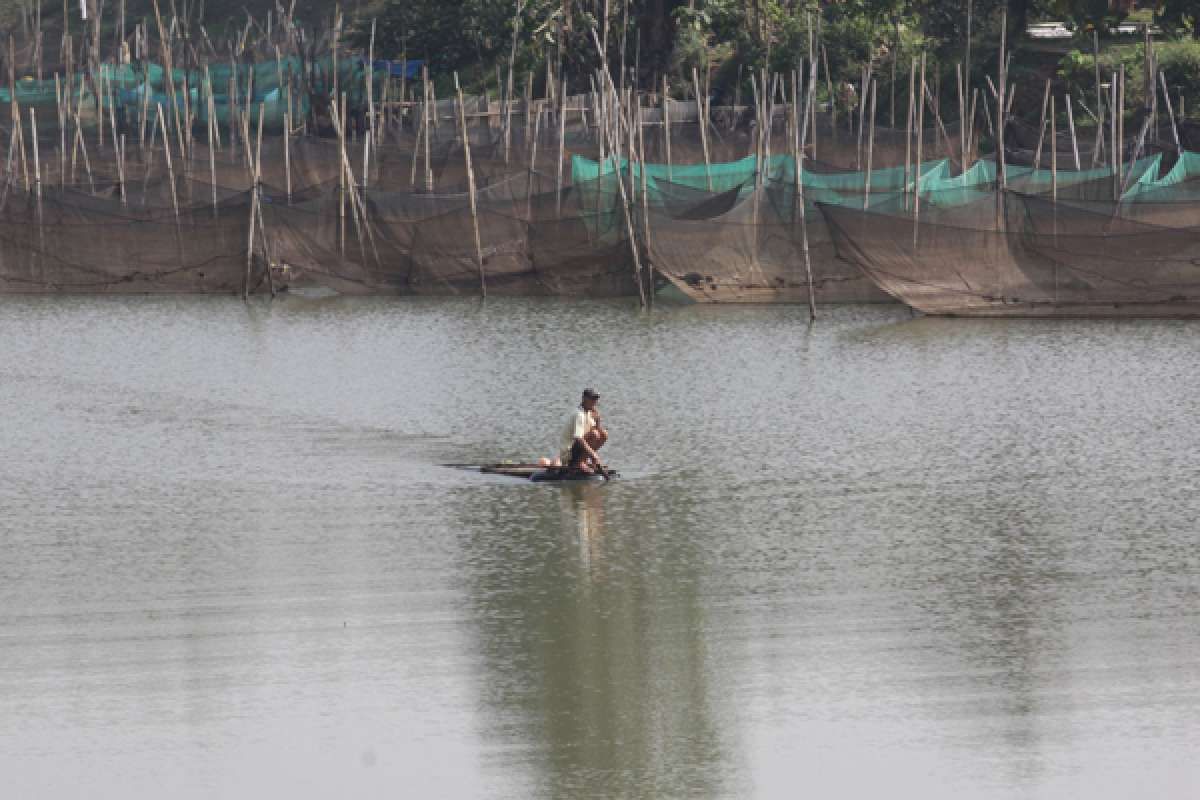 Potensi perikanan budidaya Indonesia capai Rp 3.000 triliun per tahun