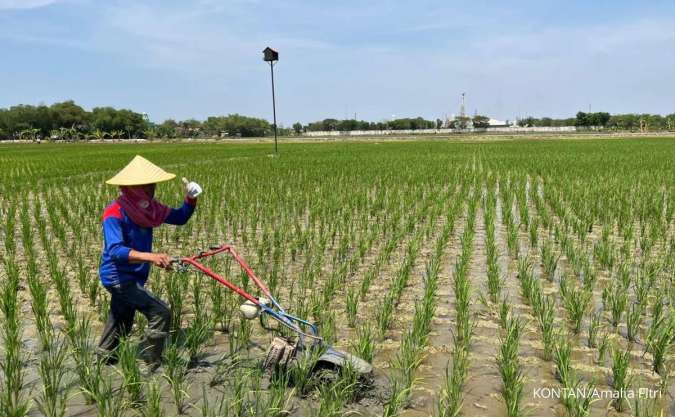 Dampingi Petani Tuban, Pertamina EP Catat Kenaikan Produksi Gabah